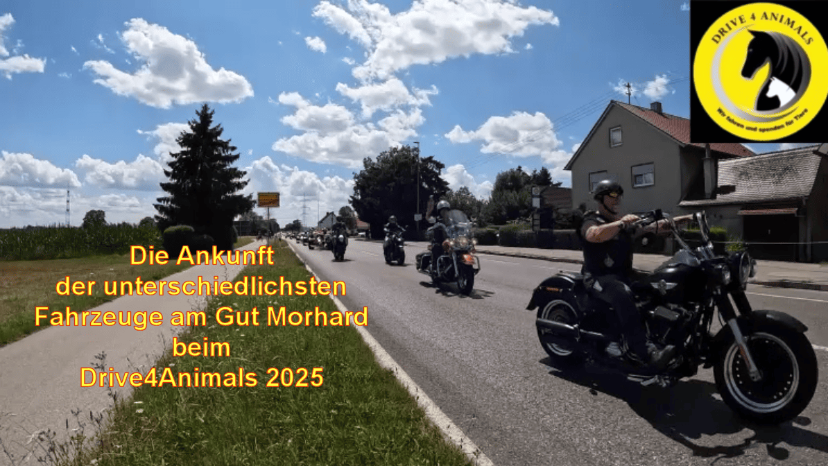 Startbild klein D4A 2025 Ankunft