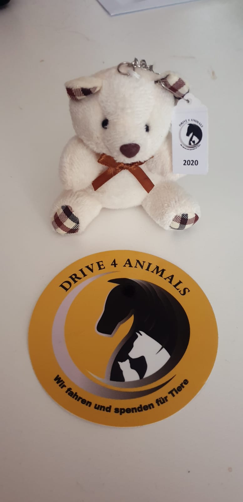 Drive4Animals Bärchen